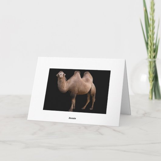 Dank u! bedankkaart (Achterkant)