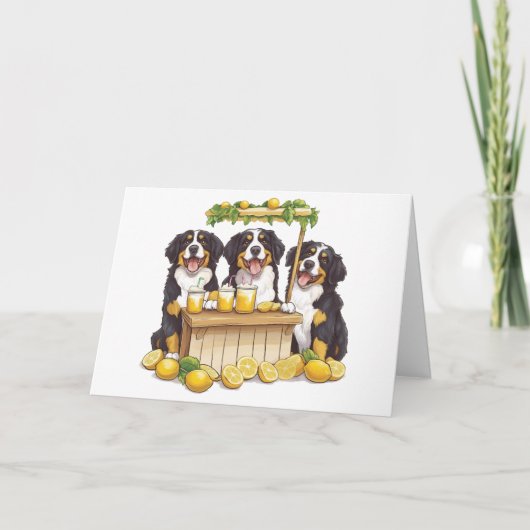 Dank u Berner Sennenhonden limonade stand Bedankkaart (Voorkant)