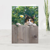 Dank u Beste van de Kaart van de Kat het Grappige (Voorkant)