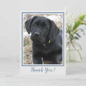 Dank u Black Labrador- Blauw Grijs Schattige Puppy Bedankkaart (Staand voorkant)