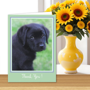 Dank u Black Labrador Puppy - Cute Dog Bedankkaart