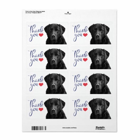 Dank u Black Labrador Retriever Sticker (Full Sheet)
