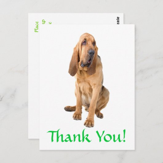 Dank u Bloedhond begroeting Briefkaart (Voorkant / Achterkant)