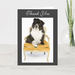 Dank u Border collie Bedankkaart
