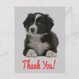 Dank u Border Collie Puppy Dog Post Kaart