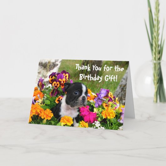 Dank u, Boston Terrier wenskaart Bedankkaart (Voorkant)
