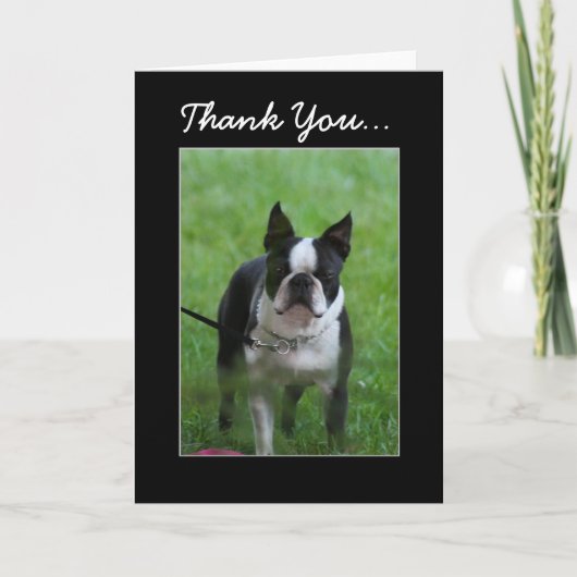 Dank u, Boston Terrier wenskaart Bedankkaart (Voorkant)