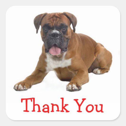 Dank u Boxer Puppy Dog Groet Sticker (Voorkant)