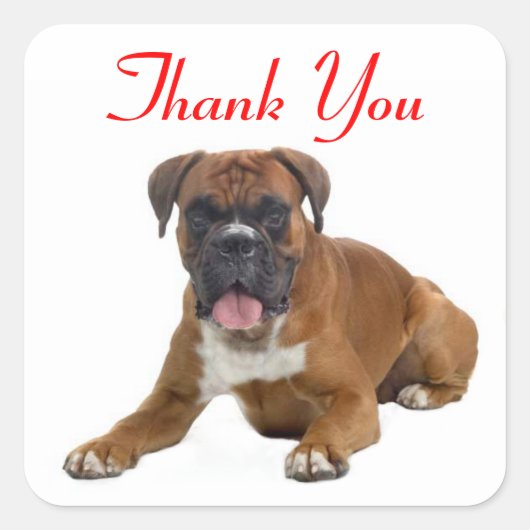 Dank u Boxer Puppy Dog Groet Sticker (Voorkant)