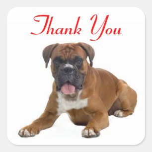 Dank u Boxer Puppy Dog Groet Sticker