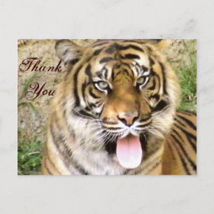 Dank u._ briefkaart