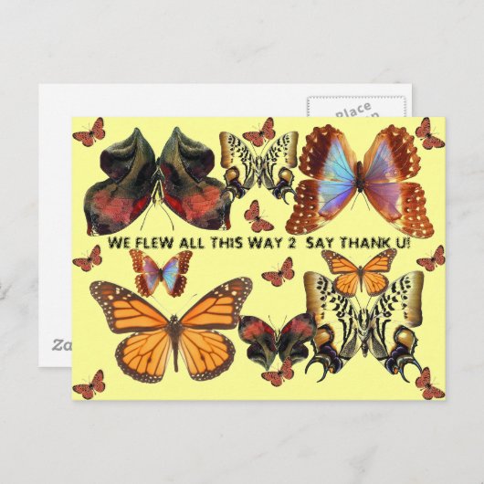 Dank u! briefkaart (Voorkant / Achterkant)