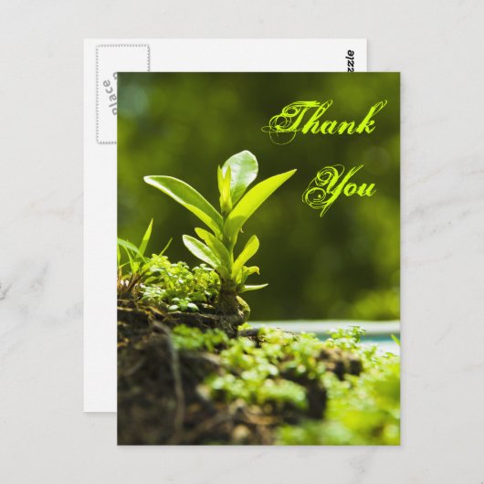 Dank u - briefkaarten (Voorkant / Achterkant)