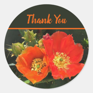 Dank u Cactus Bloemen Woestijn Bloemen Bloemen Blo Ronde Sticker