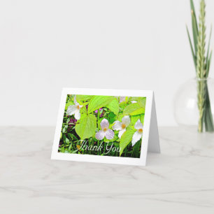 DANK U CARD/FLORAL/TRILLIUM BEDANKKAART