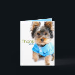 Dank u Card_Yorkie Bedankkaart<br><div class="desc">Zeg met dit schattige Yorkie dank u!  Het is lege binnenkant voor uw gepersonaliseerde groet.</div>