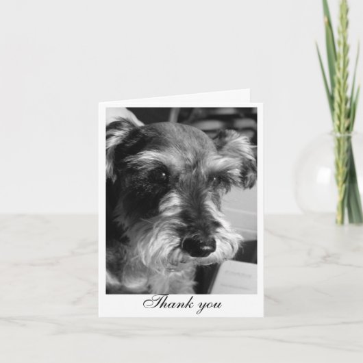 Dank u (Charmin) Bedankkaart (Voorkant)