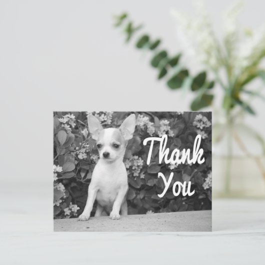 Dank u Chihuahua Puppy Dog Briefkaart (Staand voorkant)