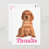 Dank u Cocker Spaniel Puppy Dog Briefkaart (Voorkant / Achterkant)