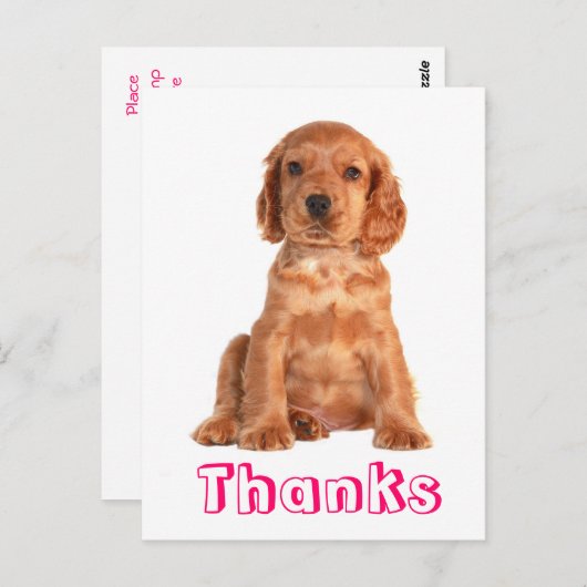 Dank u Cocker Spaniel Puppy Dog Briefkaart (Voorkant / Achterkant)