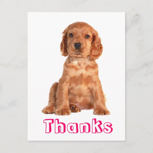 Dank u Cocker Spaniel Puppy Dog Briefkaart (Voorkant)