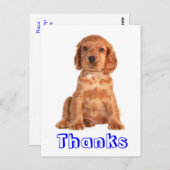 Dank u Cocker Spaniel Puppy Dog Briefkaart (Voorkant / Achterkant)