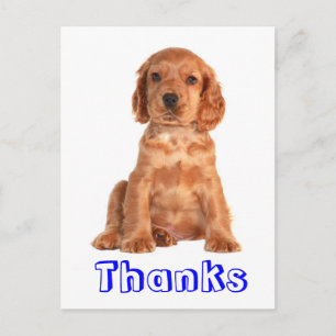 Dank u Cocker Spaniel Puppy Dog Briefkaart