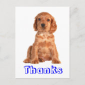Dank u Cocker Spaniel Puppy Dog Briefkaart (Voorkant)