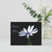 Dank u - Daisy Briefkaart (Staand voorkant)