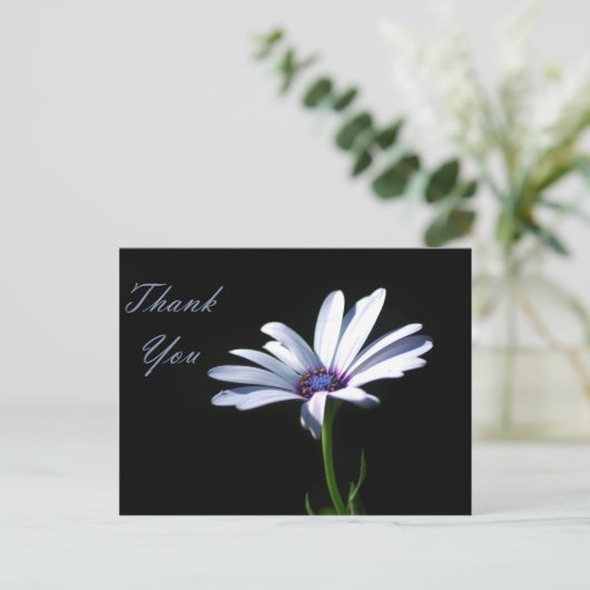 Dank u - Daisy Briefkaart (Staand voorkant)