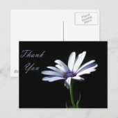 Dank u - Daisy Briefkaart (Voorkant / Achterkant)