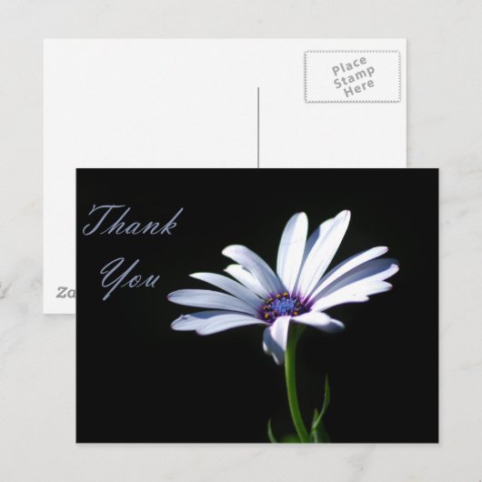 Dank u - Daisy Briefkaart (Voorkant / Achterkant)