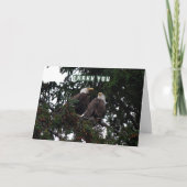 Dank u, de Kale Kaart van Eagles (Voorkant)