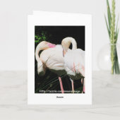 Dank u de vogelwenskaart van de Flamingo Bedankkaart (Achterkant)