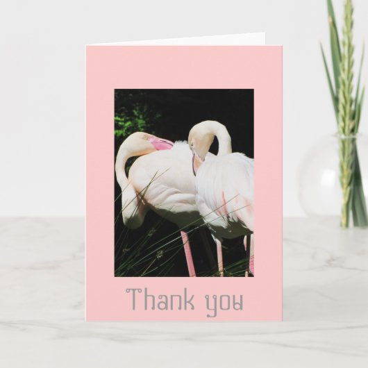 Dank u de vogelwenskaart van de Flamingo Bedankkaart (Voorkant)