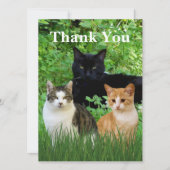 Dank U Dierenarts met Wenskaart (Voorkant)