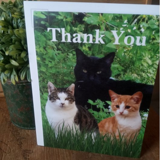 Dank U Dierenarts met Wenskaart