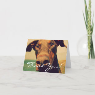 Dank u Doberman Bedankkaart