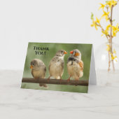 Dank u drie vinken vogelfotografie kaart (Gele Bloem)