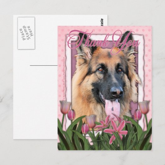 Dank u - Duitse Herder - Kans Briefkaart (Voorkant / Achterkant)