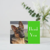 Dank u Duitse Herder Puppy Dog Post Kaart (Staand voorkant)