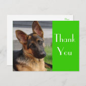 Dank u Duitse Herder Puppy Dog Post Kaart (Voorkant / Achterkant)