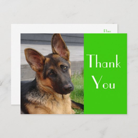 Dank u Duitse Herder Puppy Dog Post Kaart (Voorkant / Achterkant)