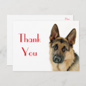 Dank u Duitse Herder Puppy Dog Post Kaart (Voorkant / Achterkant)
