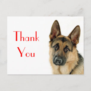 Dank u Duitse Herder Puppy Dog Post Kaart