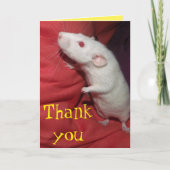 dank u Dumbo Rat kaart (Voorkant)