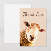 Dank u Ewe Sheep Animal Humor Bedankkaart (Voorkant / Achterkant)