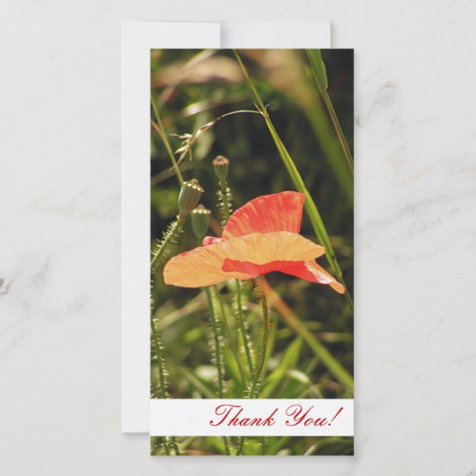 Dank u fotokaart bedankkaart (Voorkant)