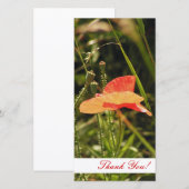 Dank u fotokaart bedankkaart (Voorkant / Achterkant)