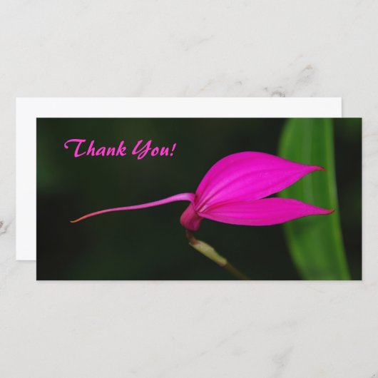 Dank u fotokaart bedankkaart (Voorkant / Achterkant)